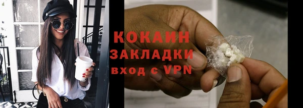 шишки Волоколамск