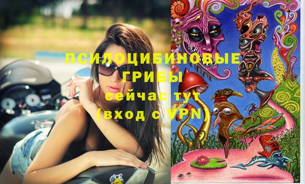 герыч Верхний Тагил