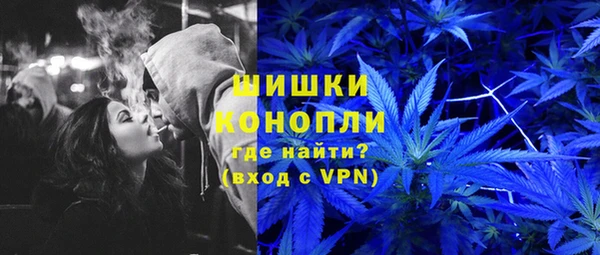 PSILOCYBIN Волосово